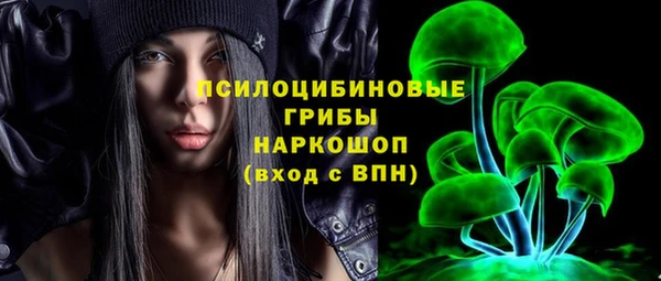 хмурый Аркадак