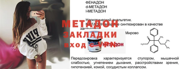 хмурый Аркадак