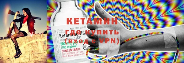 хмурый Аркадак