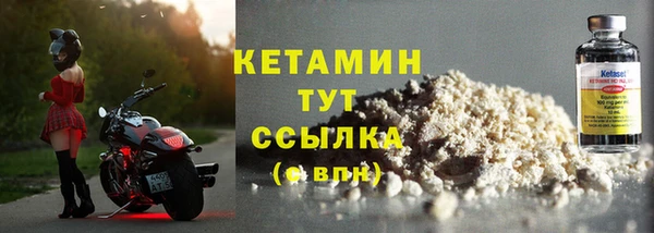 хмурый Аркадак
